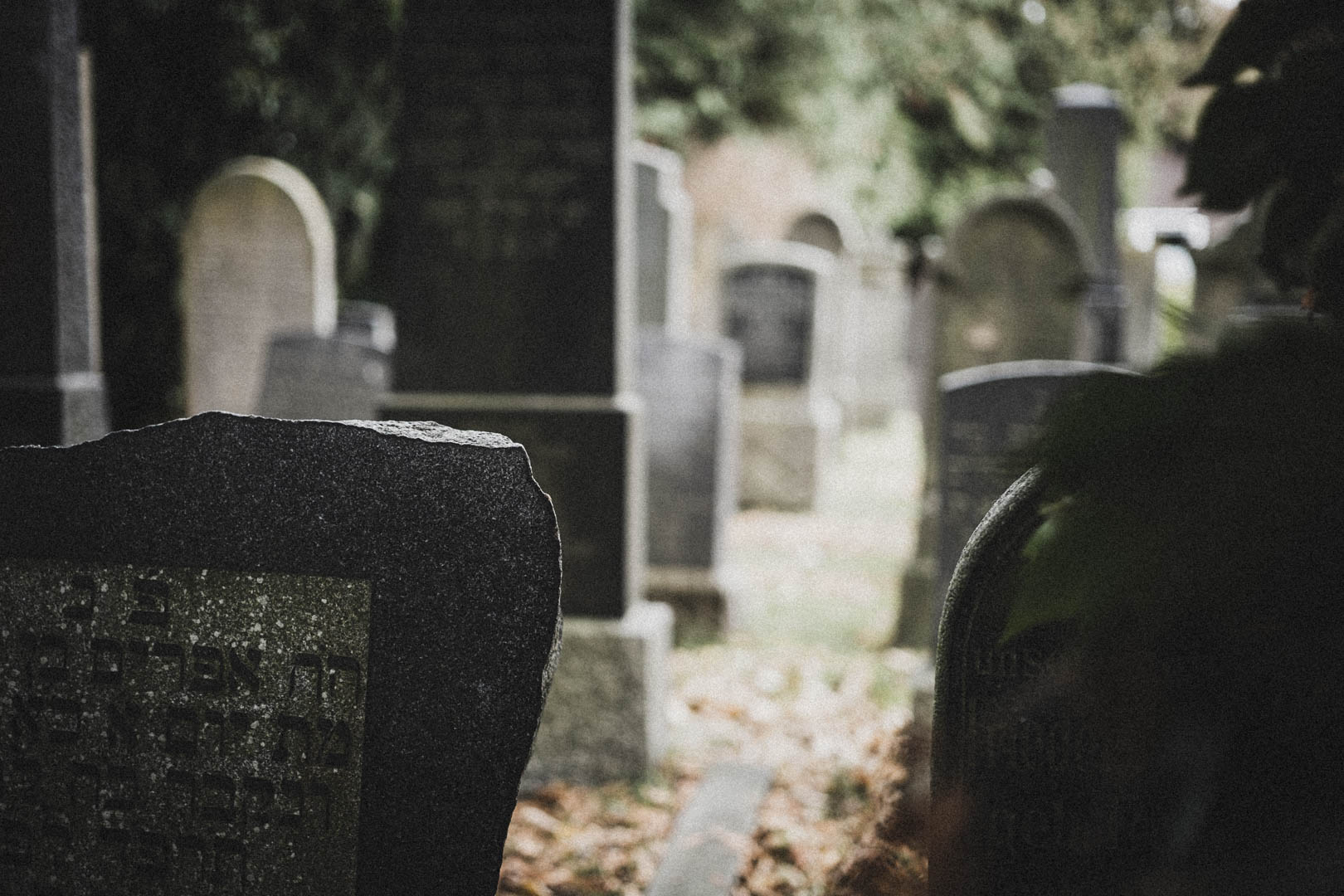 Leer (Ostfriesland), Jüdischer Friedhof